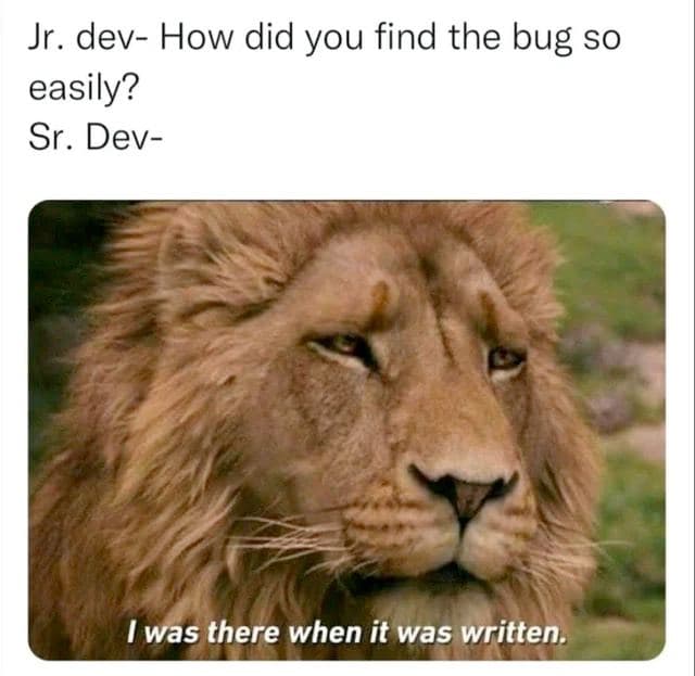 How did you find the bug so easily How did you find the bug so easily